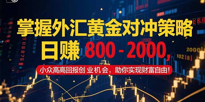 掌握外汇黄金对冲策略,日赚 800 – 2000,小众高回报创业机会,助你实…-优优云网创