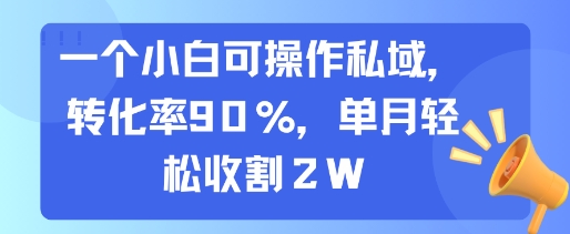 一个小白可操作私域，转化率90%，单月轻松收割2W-优优云网创